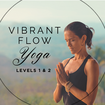 Vibrant Flow Yoga DVD