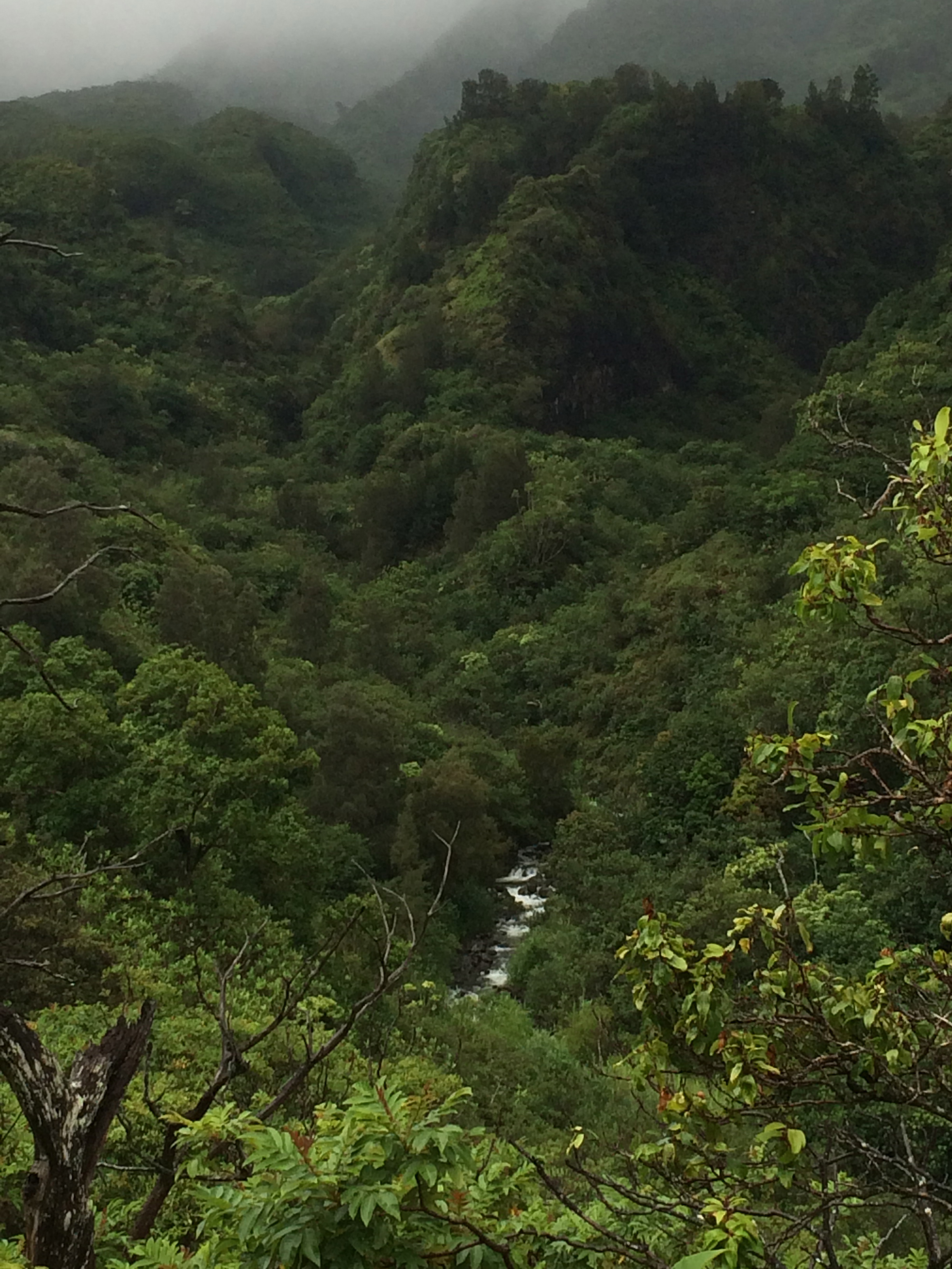 Maui - Lumeria Retreat Center - 2014