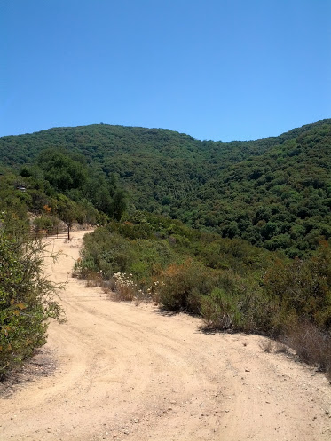 Tassajara Zen & Yoga Retreat,Ventana Wilderness, CA – July ’12