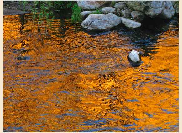 Tassajara Zen & Yoga Retreat,Ventana Wilderness, CA – July ’12