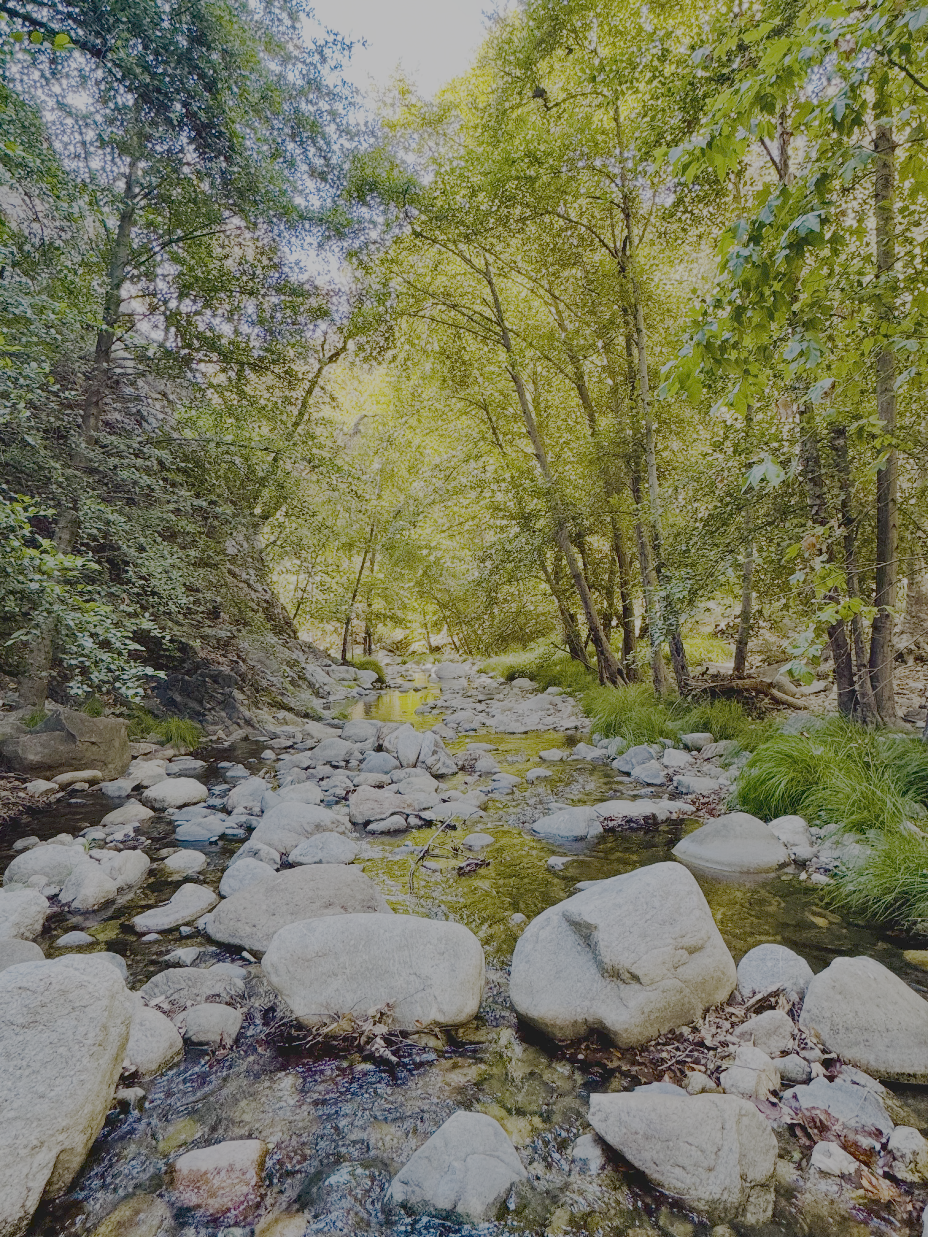 Tassajara Yoga & Zen Retreat 2026 / Ventana Wilderness, CA